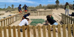 Es localitzen dos nous nius de tortuga careta al delta de l'Ebre i a Malgrat de Mar