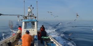 500 km2 del litoral gironí seran vedats o gestionats pel sector pesquer amb assessorament científic