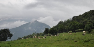 Aprovat inicialment el Pla de protecció del medi natural i del paisatge de l'Alta Garrotxa