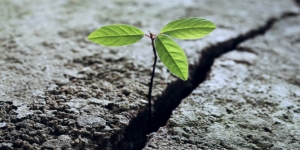 Terrassa tindrà aquest 2019 un Pla estratègic de resiliència urbana