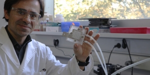 Un nou dispositiu aconsegueix produir energia neta deu vegades més ràpid que la biomassa