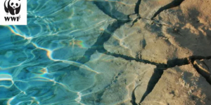 El mar Mediterrani s'escalfa més ràpid que cap altre mar i oceà al planeta