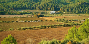 Les comarques barcelonines han perdut el 42% de les terres de conreu en els darrers 60 anys