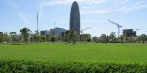 Grills de nit, merles de dia: la fauna s'instal·la a la nova Glòries