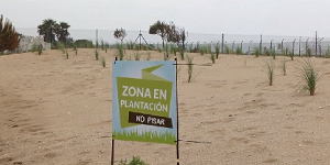 La importància de la biodiversitat per mantenir una bona qualitat de vida a la ciutat