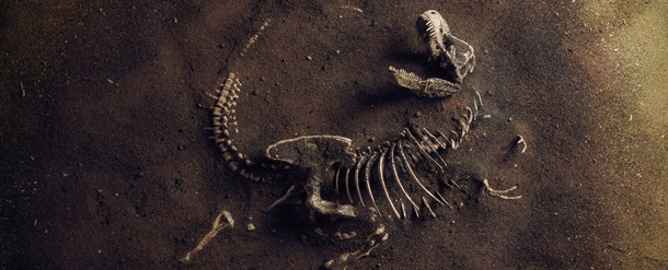 La Sisena Gran Extinció