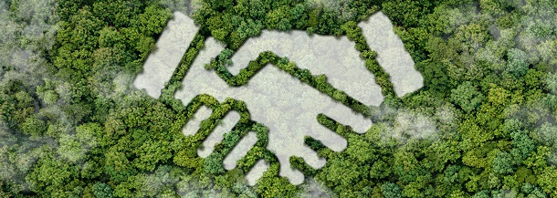 La justícia ecosocial al món de l’empresa: Espigoladors i EDSERLABS