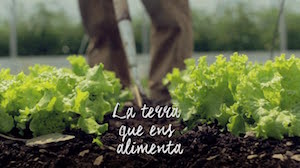 La terra que ens alimenta